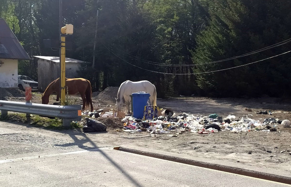 Queja por basura acumulada en el paso Cardenal Samoré thumbnail