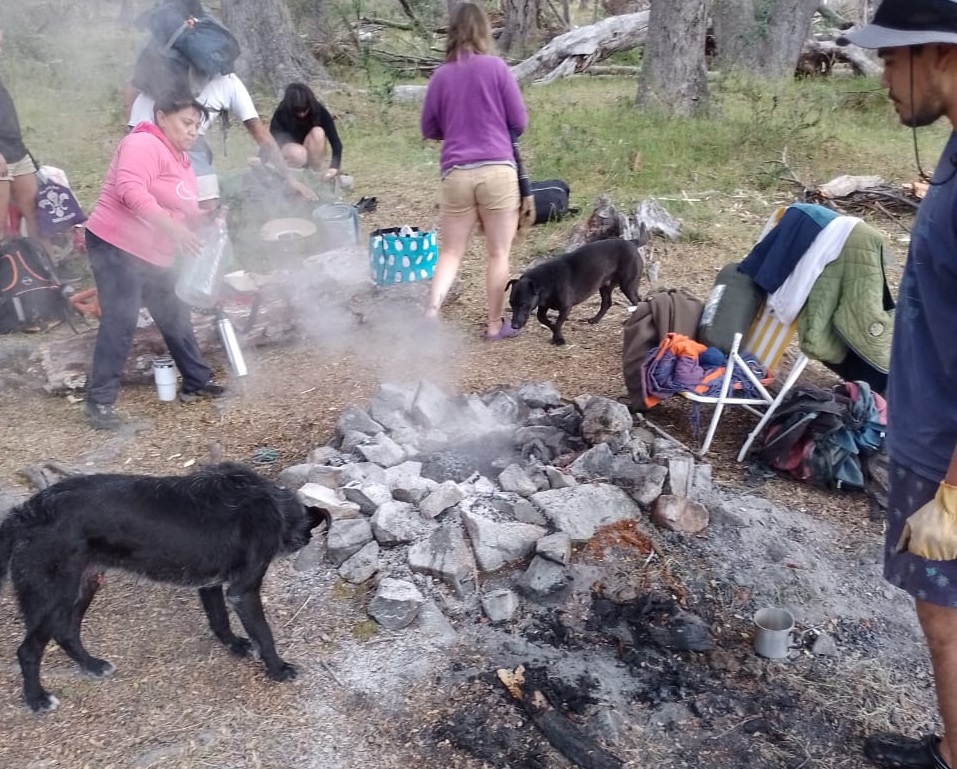Turistas multados por acampar y hacer fogones en zonas prohibidas, además de vandalismo e ingresar con mascotas thumbnail