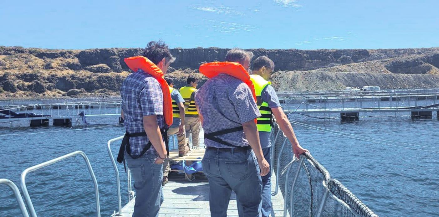 La Organización Mundial de Sanidad Animal ratificó la zona libre de enfermedades para truchas el embalse de Piedra del Águila thumbnail