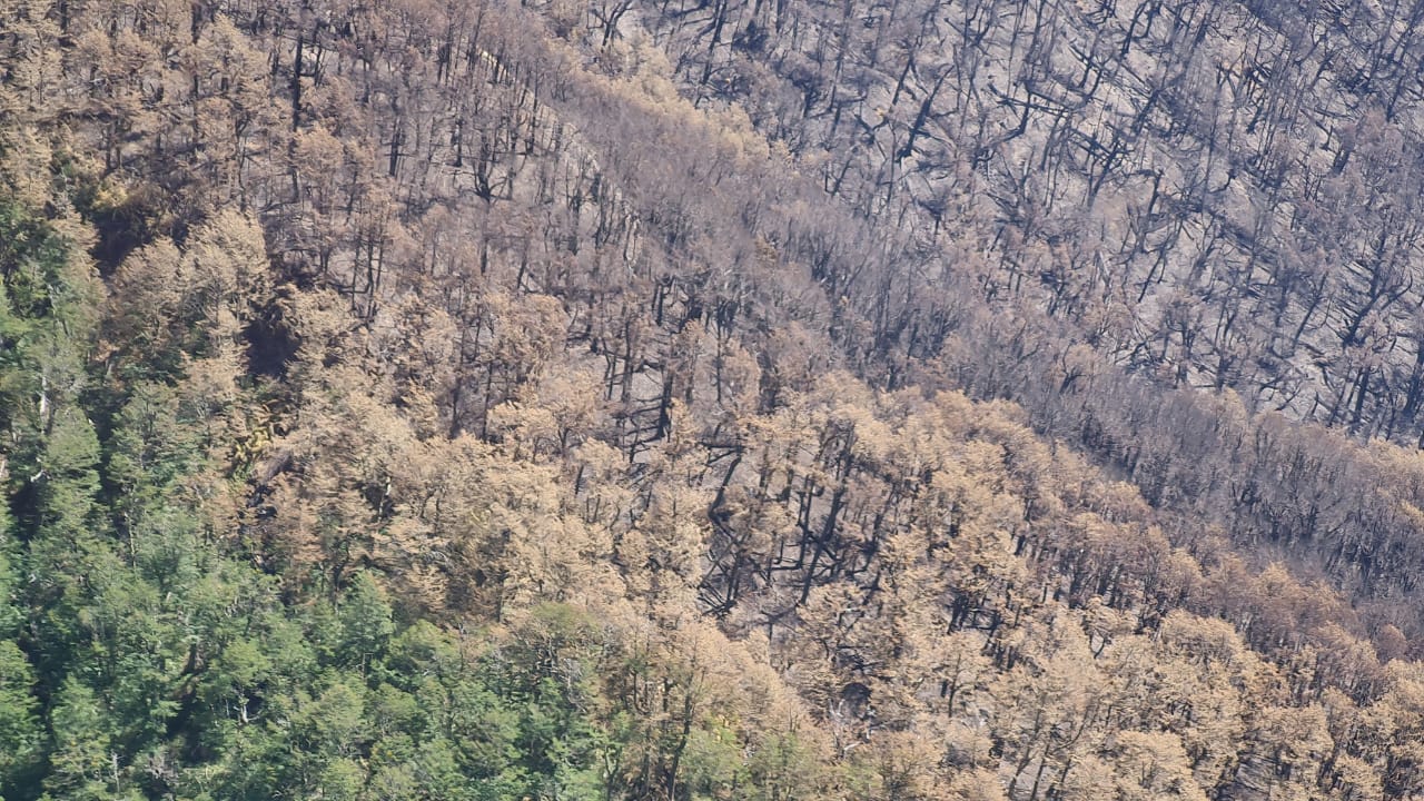 Fotos y video: Así afectó el incendio en el Parque Nahuel Huapi que aún hoy está activo thumbnail