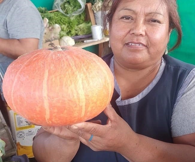 Sigue abierto el formulario para hacer tus compras de verduras y frutas agroecológicas en Villa la Angostura thumbnail