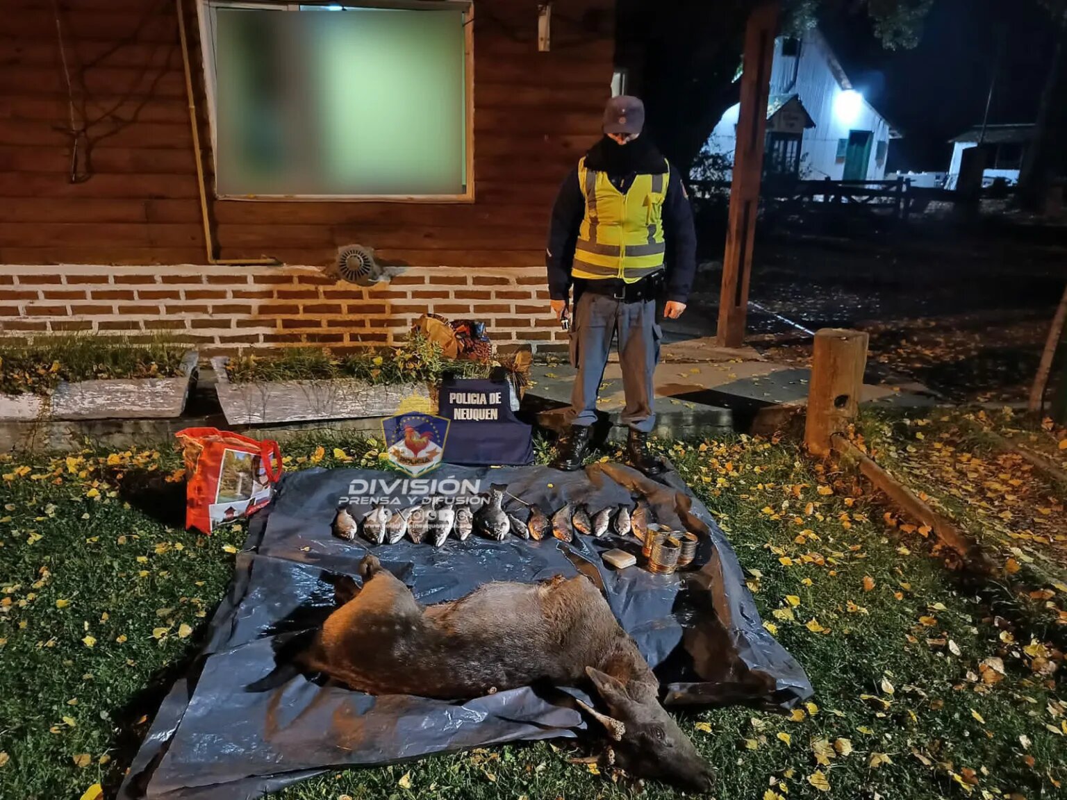 Detuvieron en el puesto Nahuel Huapi a un cazador furtivo que ya había matado a un ciervo thumbnail