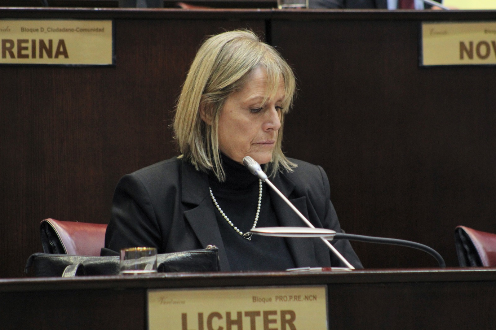 La diputada Verónica Lichter confirmó las obras de Villa la Angostura incluidas en los 350 millones de dólares thumbnail