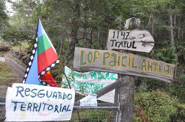 Camping Correntoso: "Falta que efectivamente se produzca el desalojo en tiempo y forma" thumbnail